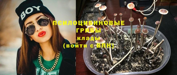 дурь Алексеевка