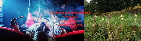 дурь Алексеевка